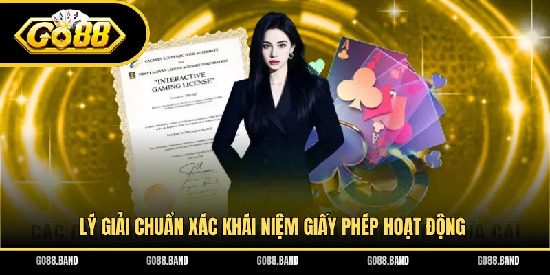 Lý giải chuẩn xác khái niệm giấy phép hoạt động