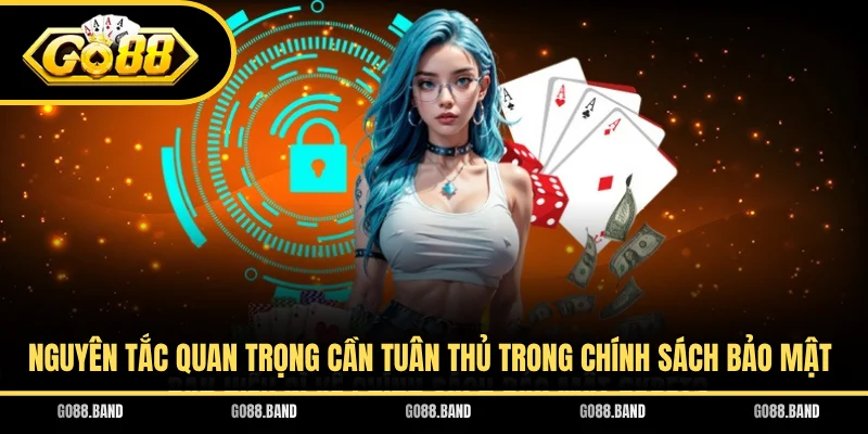 Nguyên tắc quan trọng cần tuân thủ trong chính sách bảo mật