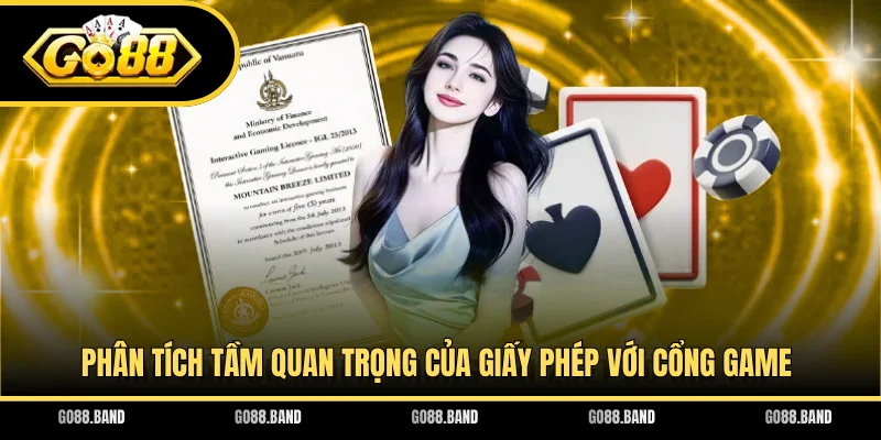 Phân tích tầm quan trọng của giấy phép với cổng game